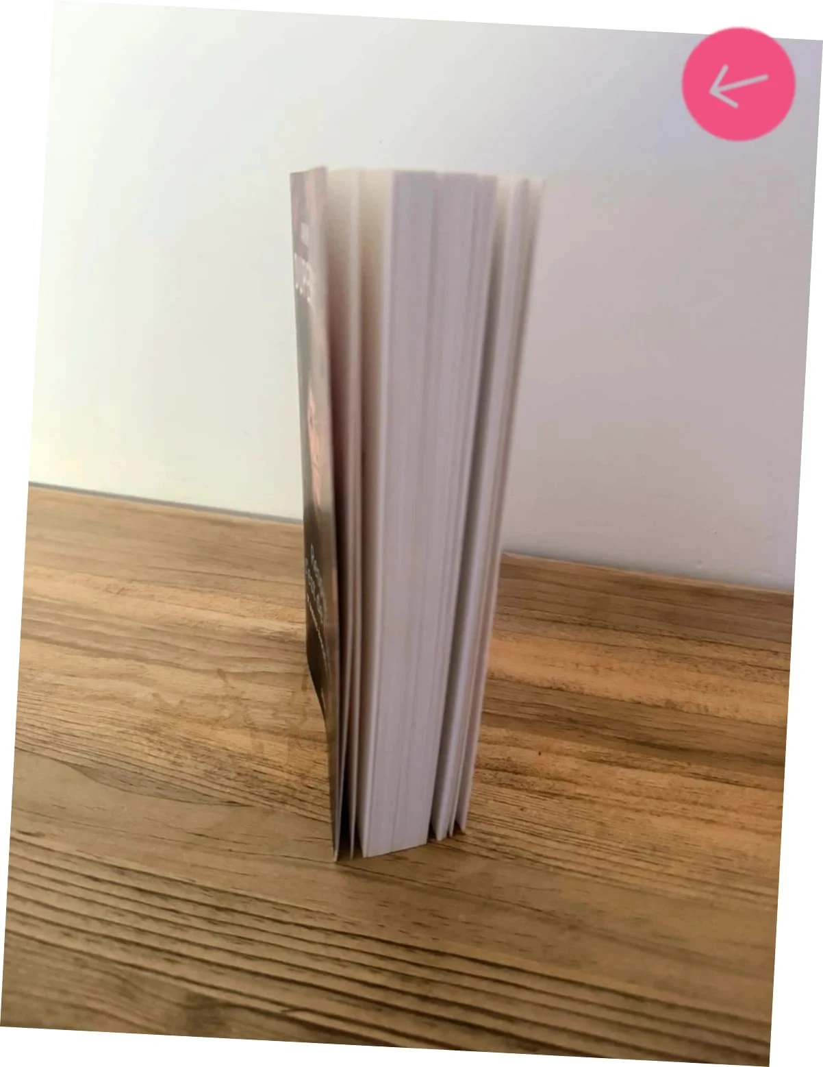 Boek Anny Duperey ademt, het is jodium – photo 9